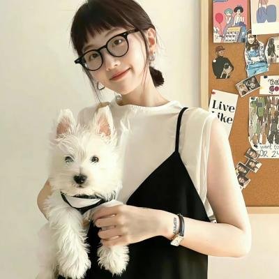 妄想学生会第一季 海报